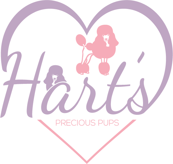 Hart's Precious Pups LLC